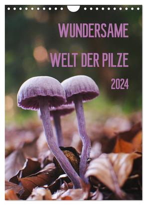 Wundersame Welt der Pilze (Wandkalender 2024 DIN A4 hoch), CALVENDO Monatskalender von Naumann,  Conny