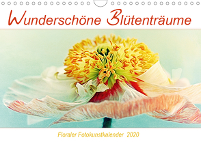 Wunderschöne Blütenträume (Wandkalender 2020 DIN A4 quer) von DESIGN Photo + PhotoArt,  AD, Dölling,  Angela
