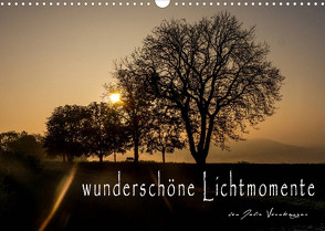 wunderschöne Lichtmomente (Wandkalender 2023 DIN A3 quer) von Vornberger,  Julia