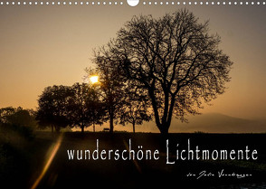 wunderschöne LichtmomenteAT-Version (Wandkalender 2022 DIN A3 quer) von Vornberger,  Julia