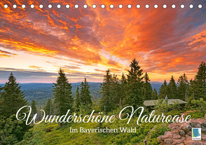 Wunderschöne Naturoase: Im Bayerischen Wald (Tischkalender 2023 DIN A5 quer) von CALVENDO