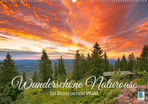 Wunderschöne Naturoase: Im Bayerischen Wald (Wandkalender 2023 DIN A2 quer) von CALVENDO