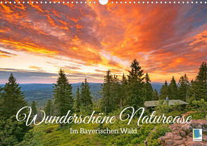 Wunderschöne Naturoase: Im Bayerischen Wald (Wandkalender 2023 DIN A3 quer) von CALVENDO