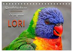 Wunderschöne Papageien – Lori (Tischkalender 2024 DIN A5 quer), CALVENDO Monatskalender von Roder,  Peter