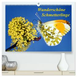 Wunderschöne Schmetterlinge (hochwertiger Premium Wandkalender 2024 DIN A2 quer), Kunstdruck in Hochglanz von Reupert,  Lothar