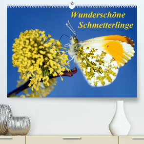 Wunderschöne Schmetterlinge (Premium, hochwertiger DIN A2 Wandkalender 2021, Kunstdruck in Hochglanz) von Reupert,  Lothar