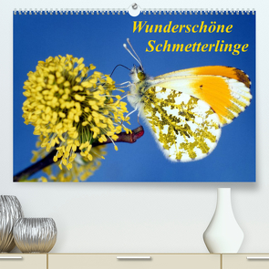 Wunderschöne Schmetterlinge (Premium, hochwertiger DIN A2 Wandkalender 2022, Kunstdruck in Hochglanz) von Reupert,  Lothar