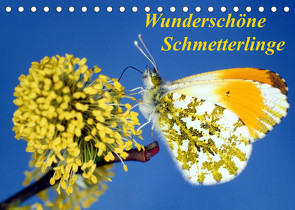 Wunderschöne Schmetterlinge (Tischkalender 2022 DIN A5 quer) von Reupert,  Lothar