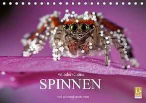 Wunderschöne Spinnen (Tischkalender 2019 DIN A5 quer) von Manuel Iglesias Nuñez,  Luis