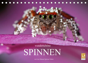 Wunderschöne Spinnen (Tischkalender 2022 DIN A5 quer) von Manuel Iglesias Nuñez,  Luis