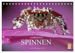 Wunderschöne Spinnen (Tischkalender 2024 DIN A5 quer), CALVENDO Monatskalender von Manuel Iglesias Nuñez,  Luis