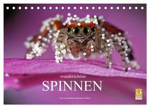 Wunderschöne Spinnen (Tischkalender 2024 DIN A5 quer), CALVENDO Monatskalender von Manuel Iglesias Nuñez,  Luis