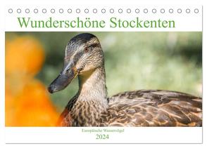 Wunderschöne Stockenten – Europäische Wasservögel (Tischkalender 2024 DIN A5 quer), CALVENDO Monatskalender von pixs:sell,  pixs:sell