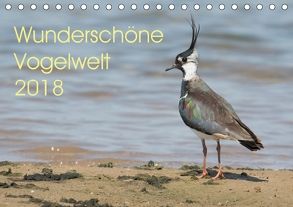 Wunderschöne Vogelwelt (Tischkalender 2018 DIN A5 quer) von Najak,  Angela