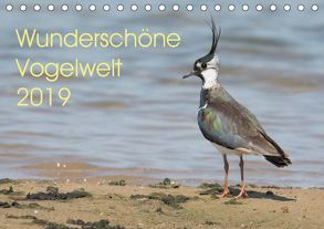 Wunderschöne Vogelwelt (Tischkalender 2019 DIN A5 quer) von Najak,  Angela