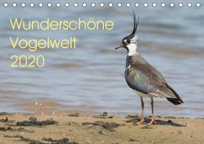 Wunderschöne Vogelwelt (Tischkalender 2020 DIN A5 quer) von Najak,  Angela