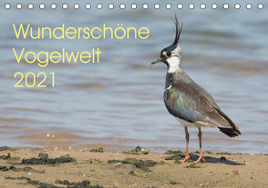 Wunderschöne Vogelwelt (Tischkalender 2021 DIN A5 quer) von Najak,  Angela