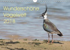 Wunderschöne Vogelwelt (Wandkalender 2018 DIN A4 quer) von Najak,  Angela