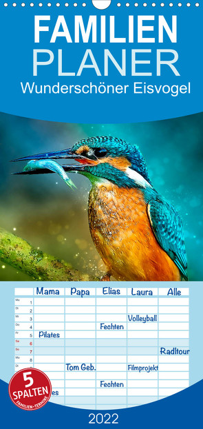 Familienplaner Wunderschöner Eisvogel (Wandkalender 2022 , 21 cm x 45 cm, hoch) von Roder,  Peter