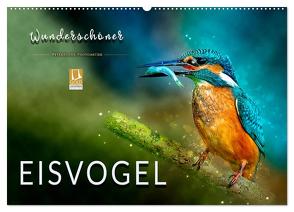 Wunderschöner Eisvogel (Wandkalender 2024 DIN A2 quer), CALVENDO Monatskalender von Roder,  Peter