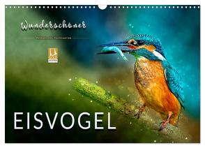 Wunderschöner Eisvogel (Wandkalender 2024 DIN A3 quer), CALVENDO Monatskalender von Roder,  Peter