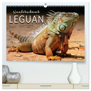 Wunderschöner Leguan (hochwertiger Premium Wandkalender 2024 DIN A2 quer), Kunstdruck in Hochglanz von Roder,  Peter