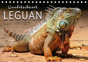 Wunderschöner Leguan (Tischkalender 2018 DIN A5 quer) von Roder,  Peter