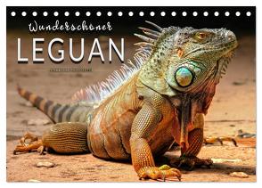 Wunderschöner Leguan (Tischkalender 2024 DIN A5 quer), CALVENDO Monatskalender von Roder,  Peter