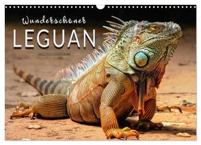 Wunderschöner Leguan (Wandkalender 2024 DIN A3 quer), CALVENDO Monatskalender von Roder,  Peter