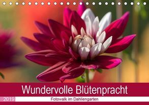Wundervolle Blütenpracht – Fotowalk im Dahliengarten (Tischkalender 2019 DIN A5 quer) von und Sonja Teßen,  André