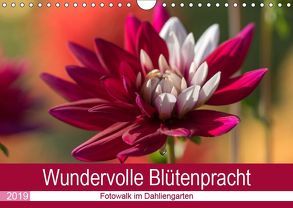 Wundervolle Blütenpracht – Fotowalk im Dahliengarten (Wandkalender 2019 DIN A4 quer) von und Sonja Teßen,  André