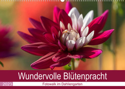 Wundervolle Blütenpracht – Fotowalk im Dahliengarten (Wandkalender 2023 DIN A2 quer) von und Sonja Teßen,  André