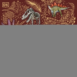 Wundervolle Welt der Dinosaurier und der Urzeit von Chinsamy-Turan,  Anusuya, Long,  Daniel, N.,  N., Reit,  Birgit, Rizza,  Angela