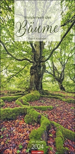 Wunderwelt der Bäume Kalender 2024 von Frank Krahmer