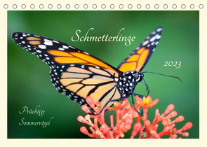 Wunderwelt der Schmetterlinge 2023 Prächtige SommervögelCH-Version (Tischkalender 2023 DIN A5 quer) von Innere Stärke,  Lebensfreude