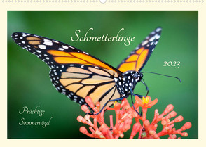 Wunderwelt der Schmetterlinge 2023 Prächtige SommervögelCH-Version (Wandkalender 2023 DIN A2 quer) von Innere Stärke,  Lebensfreude
