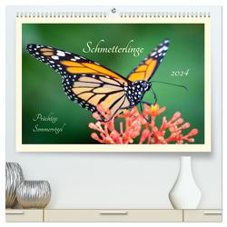 Wunderwelt der Schmetterlinge 2024 Prächtige Sommervögel (hochwertiger Premium Wandkalender 2024 DIN A2 quer), Kunstdruck in Hochglanz von Innere Stärke,  Lebensfreude