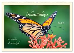 Wunderwelt der Schmetterlinge 2024 Prächtige Sommervögel (Wandkalender 2024 DIN A2 quer), CALVENDO Monatskalender von Innere Stärke,  Lebensfreude
