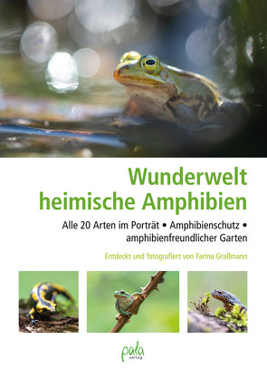Wunderwelt heimische Amphibien von Graßmann,  Farina