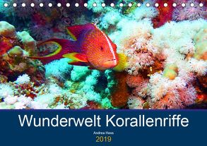 Wunderwelt Korallenriffe (Tischkalender 2019 DIN A5 quer) von Hess,  Andrea