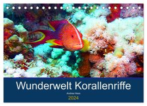 Wunderwelt Korallenriffe (Tischkalender 2024 DIN A5 quer), CALVENDO Monatskalender von Hess,  Andrea