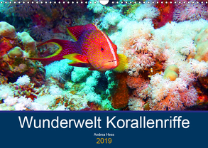 Wunderwelt Korallenriffe (Wandkalender 2019 DIN A3 quer) von Hess,  Andrea