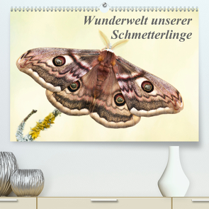 Wunderwelt unserer Schmetterlinge (Premium, hochwertiger DIN A2 Wandkalender 2020, Kunstdruck in Hochglanz) von Pelzer (Pelzer-Photography),  Claudia