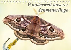 Wunderwelt unserer Schmetterlinge (Tischkalender 2018 DIN A5 quer) von Pelzer (Pelzer-Photography),  Claudia