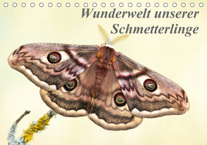 Wunderwelt unserer Schmetterlinge (Tischkalender 2020 DIN A5 quer) von Pelzer (Pelzer-Photography),  Claudia