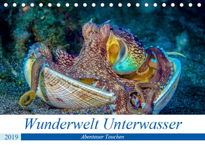 Wunderwelt Unterwasser (Tischkalender 2019 DIN A5 quer) von Gödecke,  Dieter