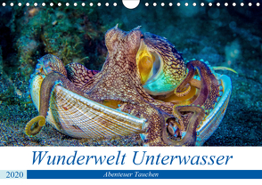 Wunderwelt Unterwasser (Wandkalender 2020 DIN A4 quer) von Gödecke,  Dieter