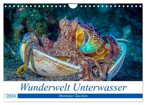 Wunderwelt Unterwasser (Wandkalender 2024 DIN A4 quer), CALVENDO Monatskalender von Gödecke,  Dieter