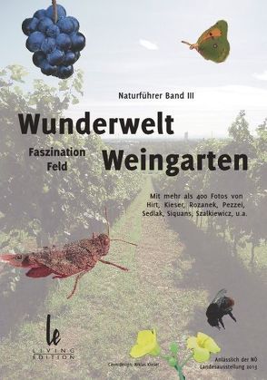 Wunderwelt Weingarten von Rozanek,  Rudolf, Steindl,  Anni