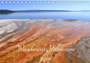 Wunderwelt Yellowstone 2019 (Tischkalender 2019 DIN A5 quer) von Anders,  Holm